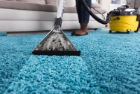 Local Business Rons Rug Cleaning Hobart in Hobart TAS