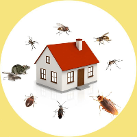Local Business Local Pest Control Castle Hill in Castle Hill NSW
