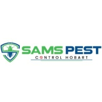 Wasp Pest Control Hobart