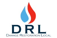 DRL Service Pros