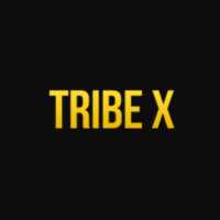 Local Business Tribe X in New York, USA NY