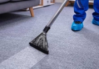 Good Job Carpet Cleaning Brisbane