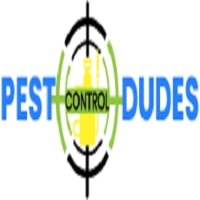 Local Business Dudes Spider Control Melbourne in  VIC