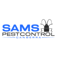 Ant Pest Control Canberra