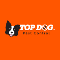 Local Business Top Dog Pest Control in Coombabah QLD