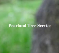 Local Business Pearland Tree Service in Pearland TX