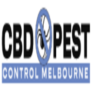 CBD Possum Removal Melbourne