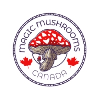 Local Business Magic Mushroom Canada in Vancouver BC
