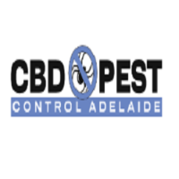 CBD Spider Control Adelaide