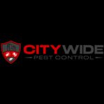 City Wide Pest Control Sydney