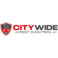 Local Business City Wide Ant Control Sydney in Sydney NSW
