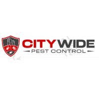 City Wide Rodent Control Sydney