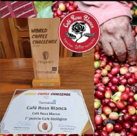 Local Business Finca Rosa Blanca Coffee Farm and Inn in Kingston Heredia Province