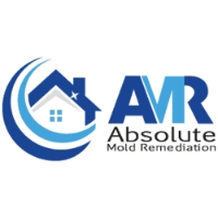 Local Business Absolute Mold Remediation Ltd. in Hamilton ON