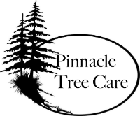 Local Business Pinnacle Tree Care in Old Newton England