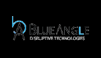 Local Business BlueAngle in Silver Spring MD