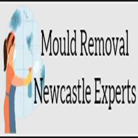 Local Business Mould Removal Newcastle Experts in Kotara NSW