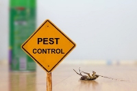 Local Business Preventive Pest Control Brisbane in Brisbane QLD