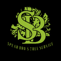 Local Business Spear Bro’s Tree Service in Wolcott, CT CT
