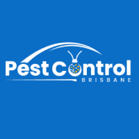 Local Business Bee Removal Brisbane in Brisbane City QLD