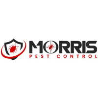 Morris Wasp Removal Adelaide