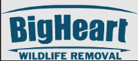 Local Business Big Heart Wildlife Removal in Cumming GA