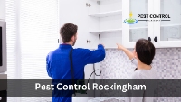 Local Business Pest Control Rockingham in Rockingham WA