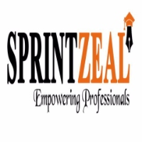 Local Business Sprintzeal pvt ltd in Washington DC