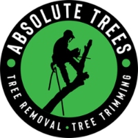 Local Business Absolute Trees in Mt Pleasant, Charleston, USA SC