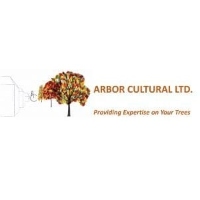 Local Business Arbor Cultural Ltd in Molesey, West Molesey England