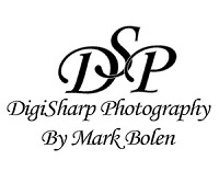 DigiSharp Photography