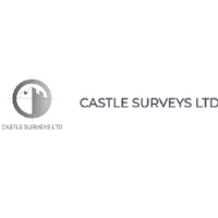 Local Business Castle Surveys Ltd in London England