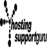 Hosting Support Guru