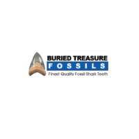 Buried Treasure Fossils