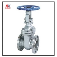 Local Business Gate Valve in Ahmedabad GJ