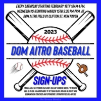 Local Business Dom Aitro Baseball League in New Haven CT CT