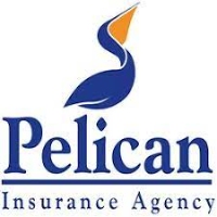 Local Business Pelican Insurance Agency in Webster TX