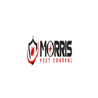 Morris Bee Removal Adelaide