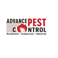 Local Business Advance Pest Control in Surrey 