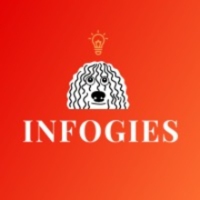 Local Business Infogies in New York City 