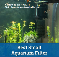 Best Aquarium Filters for Your Fish Tank | s2vmarinelife.com
