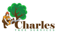Local Business Charles Tree Services in Lane Cove West NSW