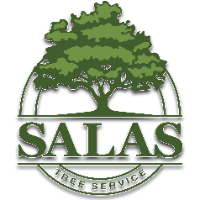 Local Business Salas Tree Service in Oklahoma City, OK 73122 