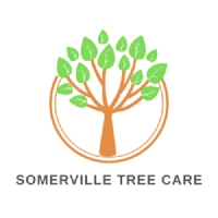 Somerville Tree Service