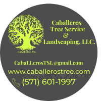 Local Business Caballeros Tree Service & Landscaping, LLC. in Vienna, VA 