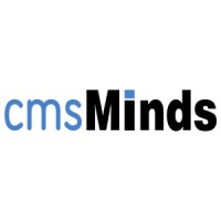 Local Business CMS Minds in Durham 