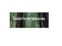 Local Business Global Forest Resources in Newport 