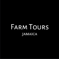 Farm Tours Jamaica