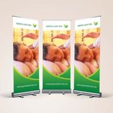 Looking for the Best Pull up Banner Printing?