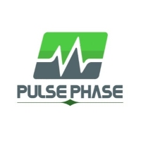Local Business Pulse Phase in New Delhi DL